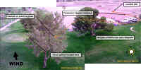 crash_web.jpg (61313 bytes)
